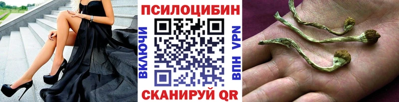 Псилоцибиновые грибы мицелий  hydra ссылки  Спас-Деменск  цены наркотик 